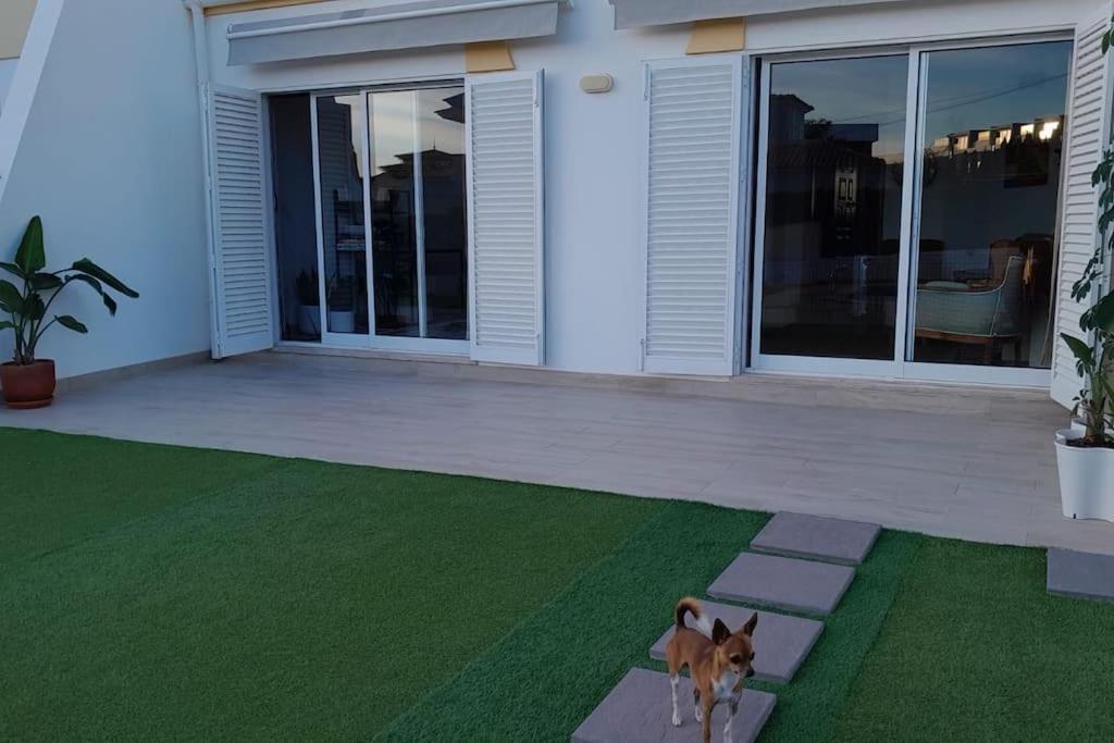 Gale Premium House - Pet Friendly Albufeira Exterior foto